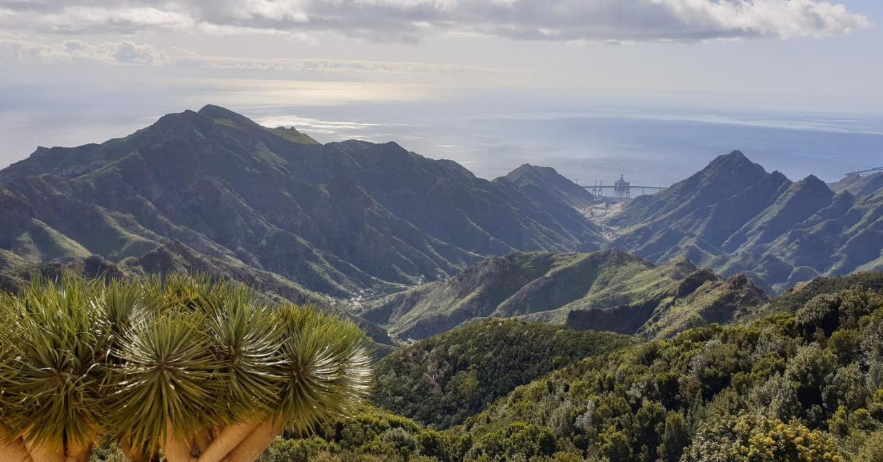 Santa Cruz De Tenerife Toscal Luaran gambar